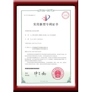 F24成人復(fù)合面罩